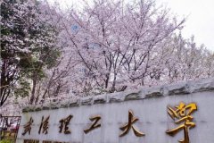 廣東MBA考研調(diào)劑武漢理工大學(xué)有什么條件？
