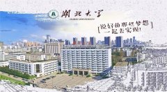 廣東MBA考研調(diào)劑湖北大學(xué)有什么條件？